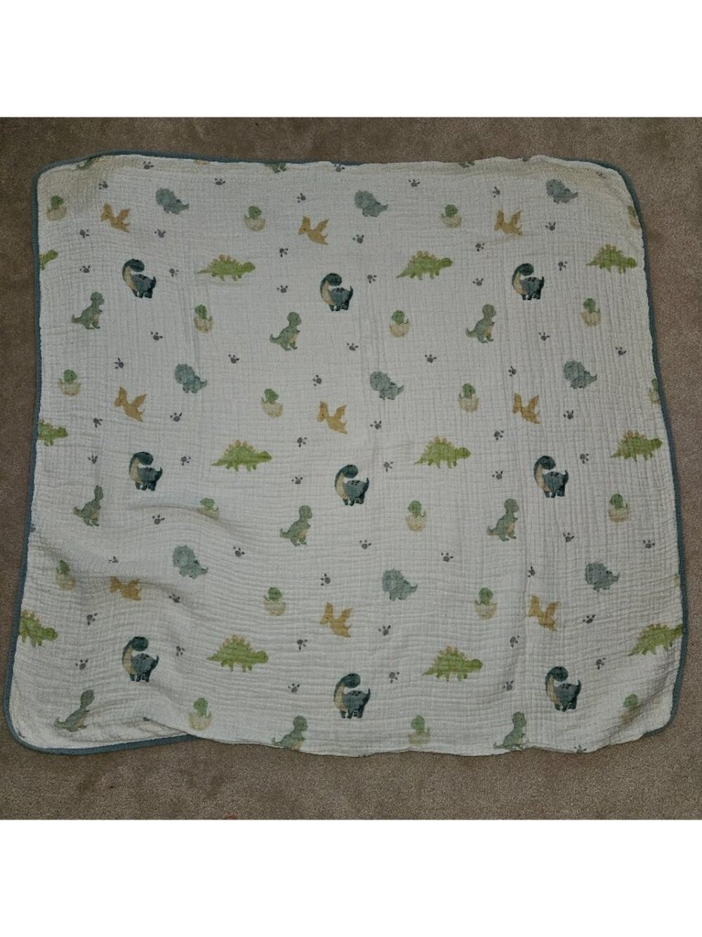 Addison Belle 100% Organic Cotton Muslin Blanket 39x42 Dinosaur Print READ